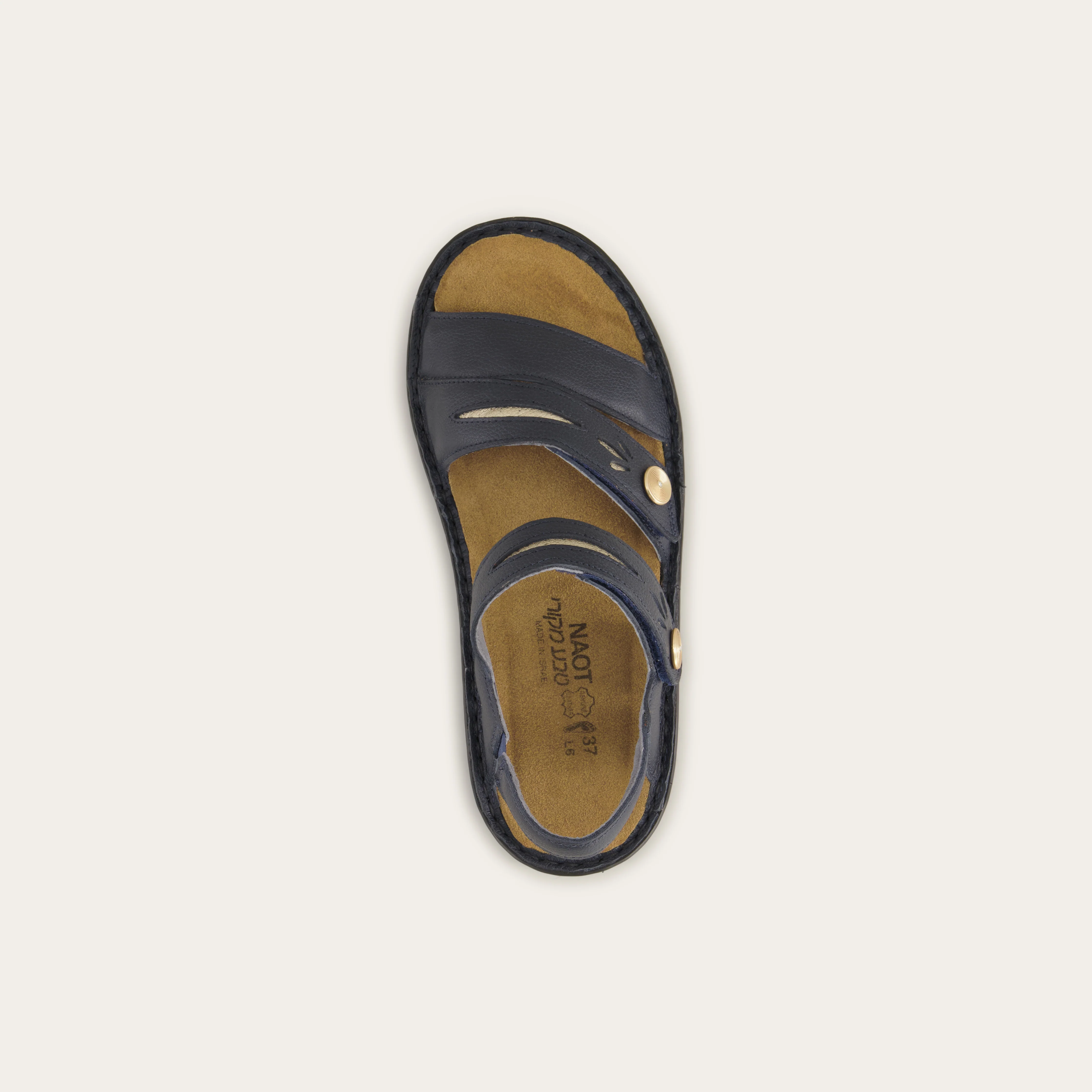 Cadence - Image 5