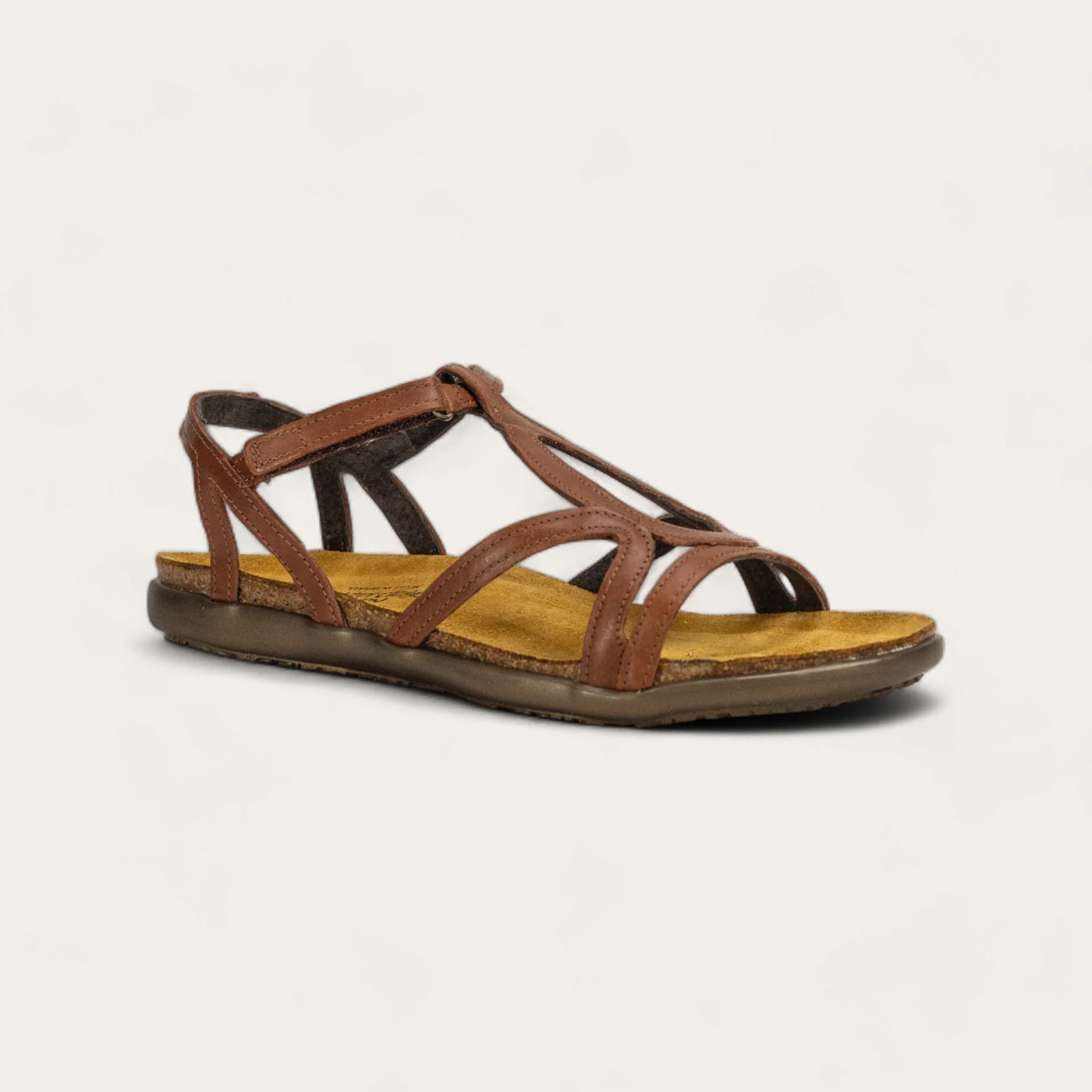 Dorith - Image 2