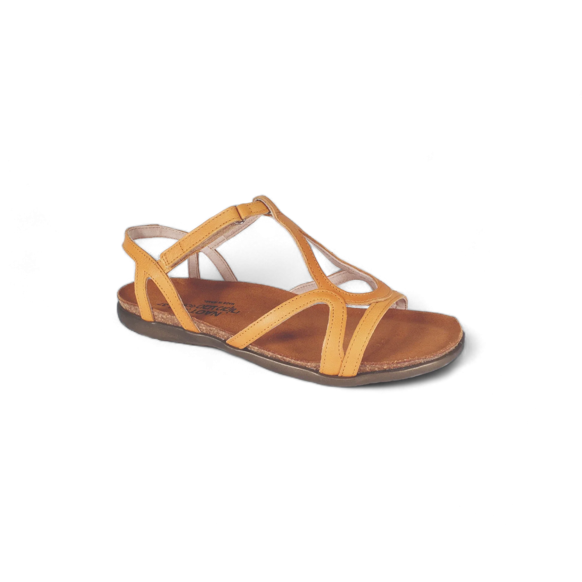 Dorith - Image 2