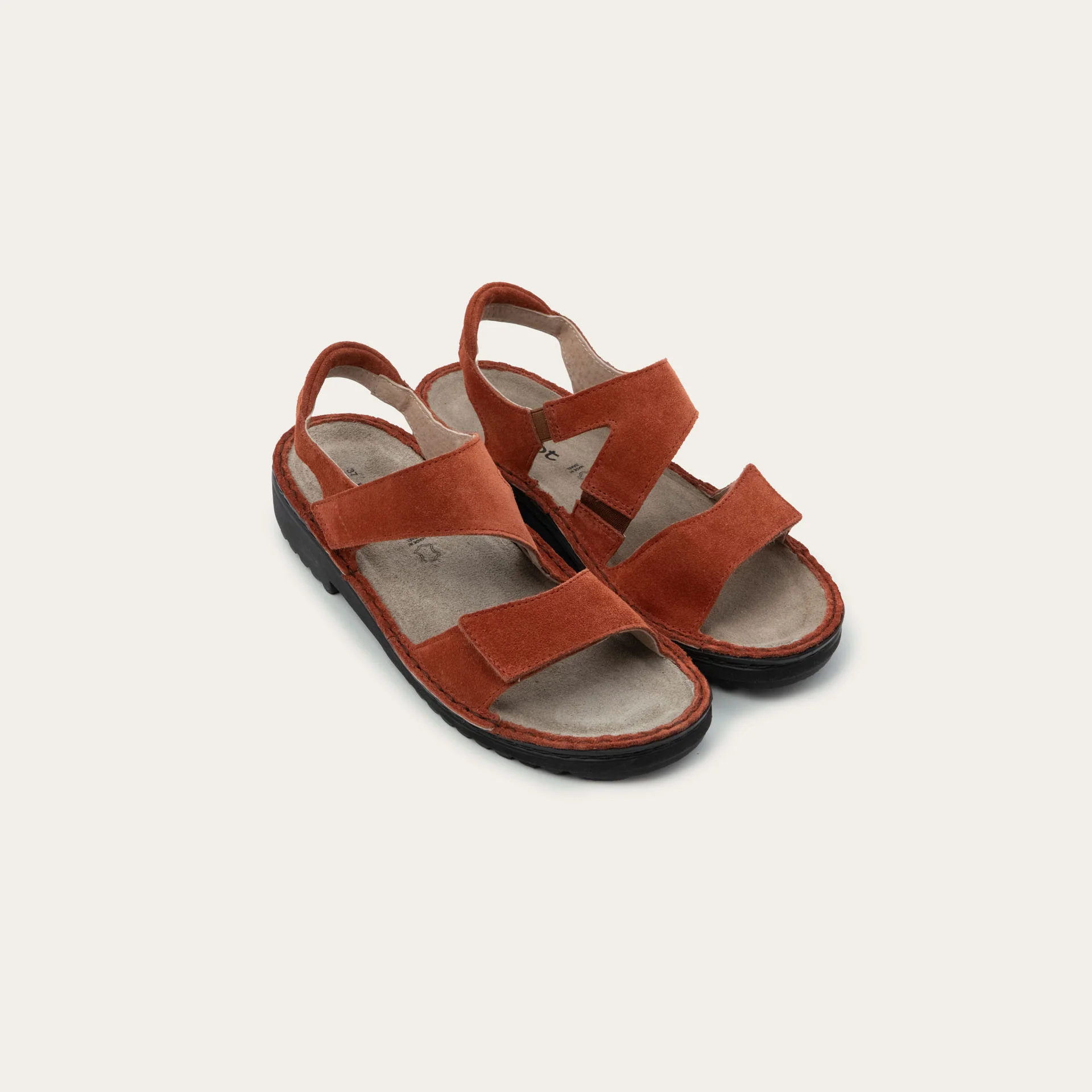 Enid - Image 5