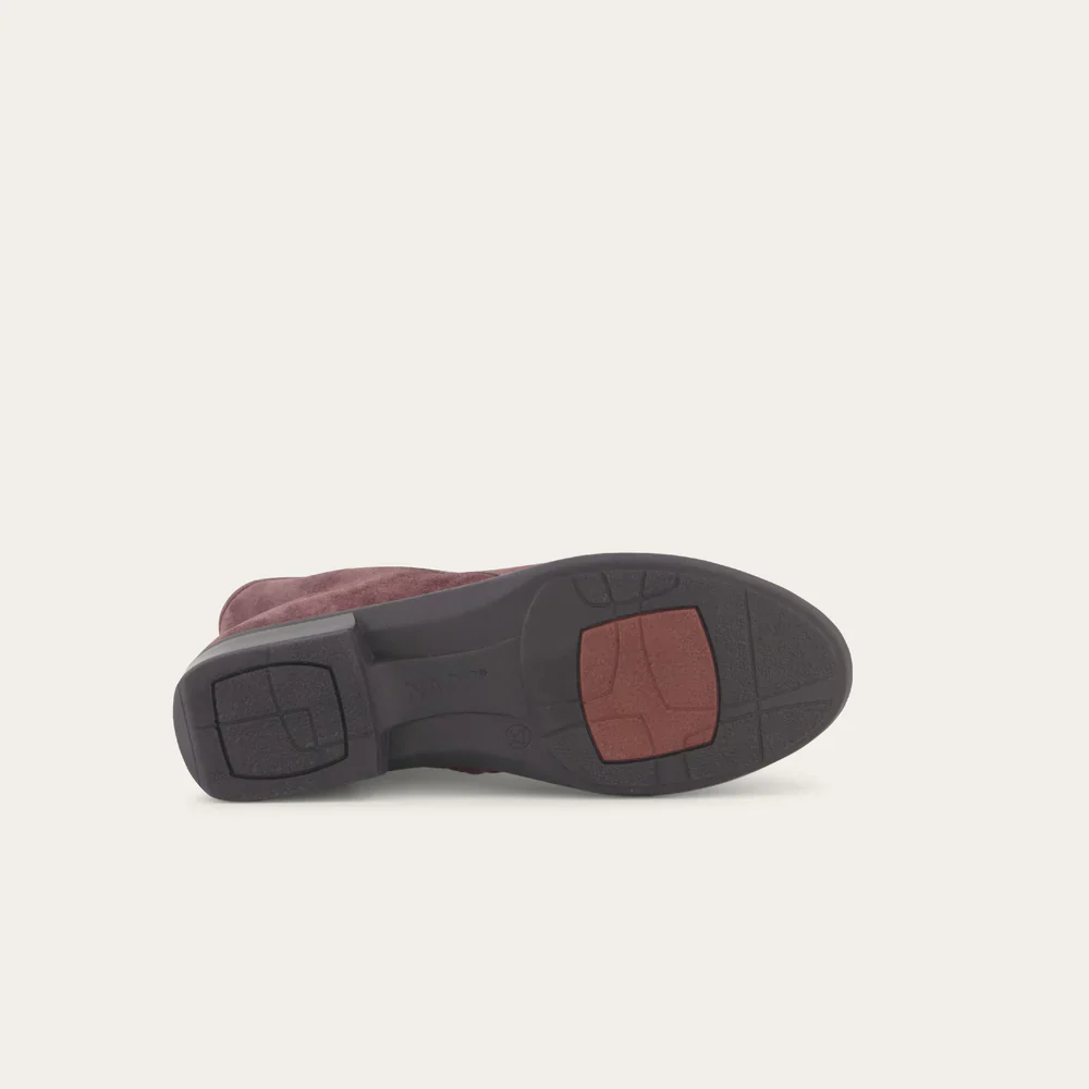 Norther - Image 5