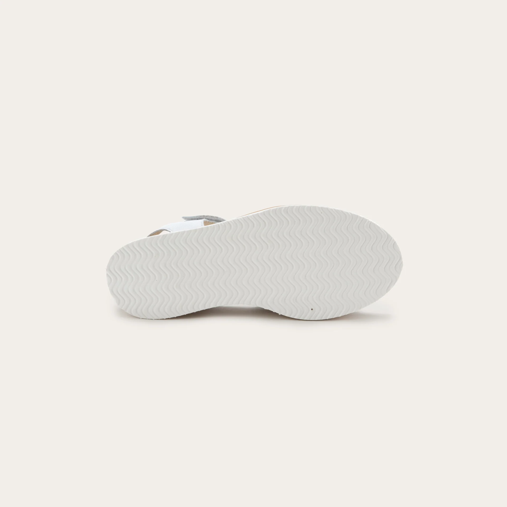 Pavlova - Image 4