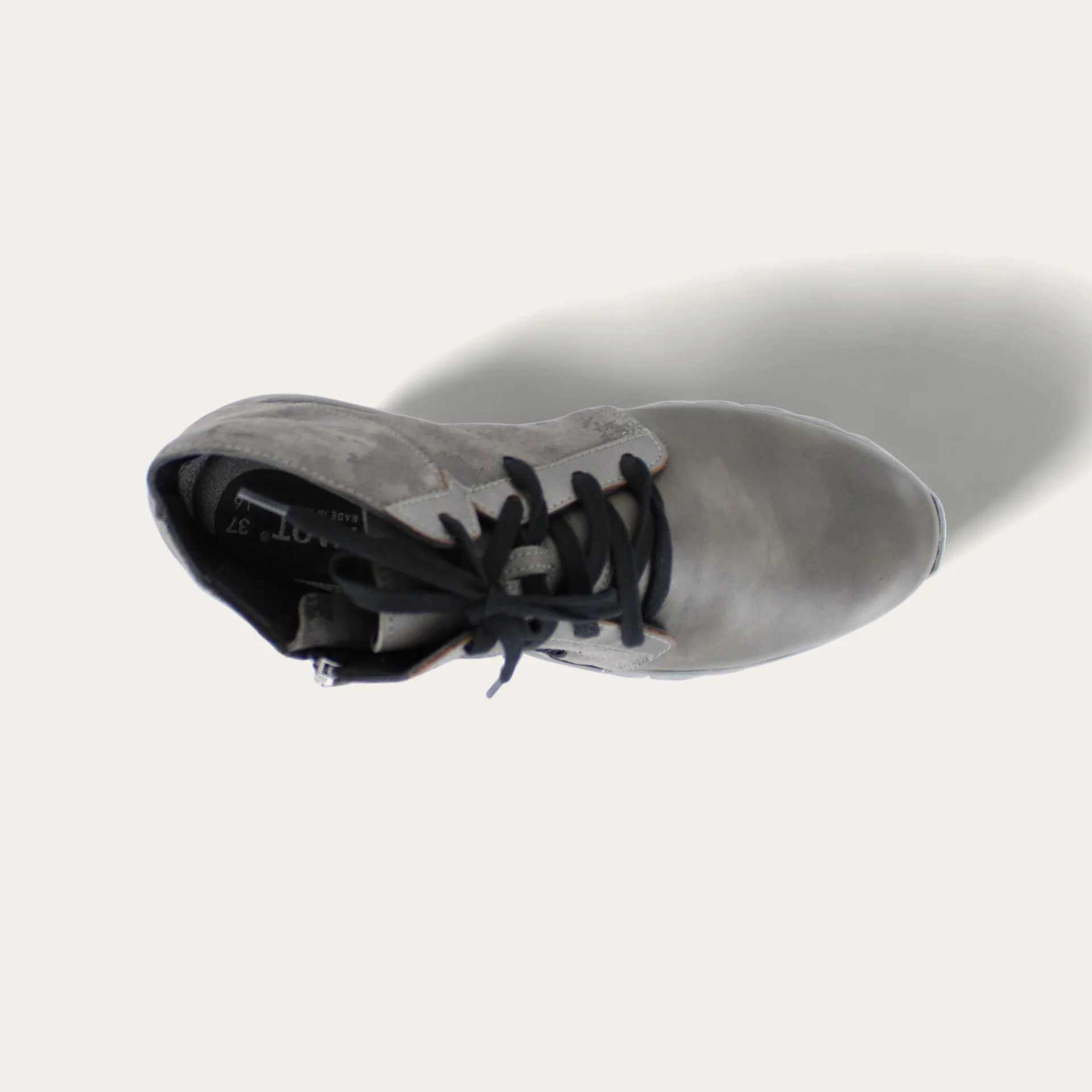 Polaris - Image 5