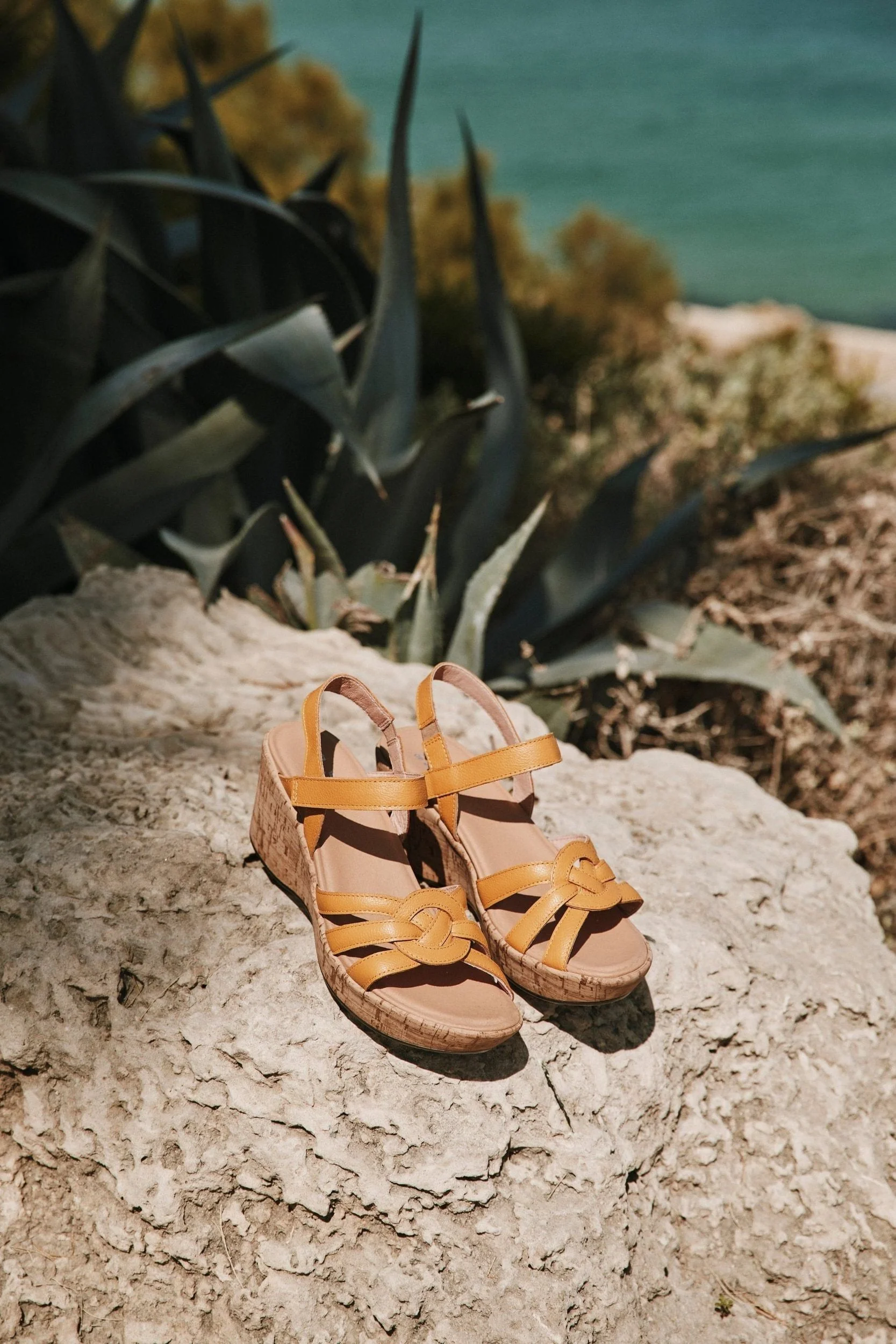 Tropical - Image 5